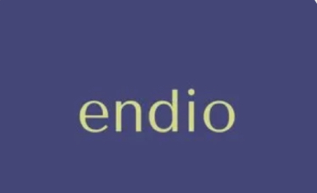 Endio Tech logosu